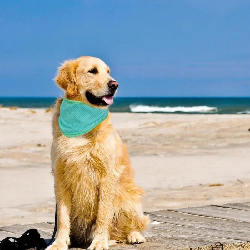 Summer Cooling Bandana for Dog Super Absorbent Ice Towel Collar Adjustable Pet Heatstroke Prevention Scarf for Walking Sleeping