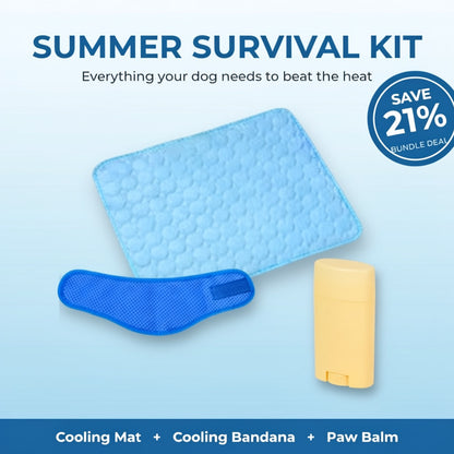 Summer Survival Kit (21% off)
