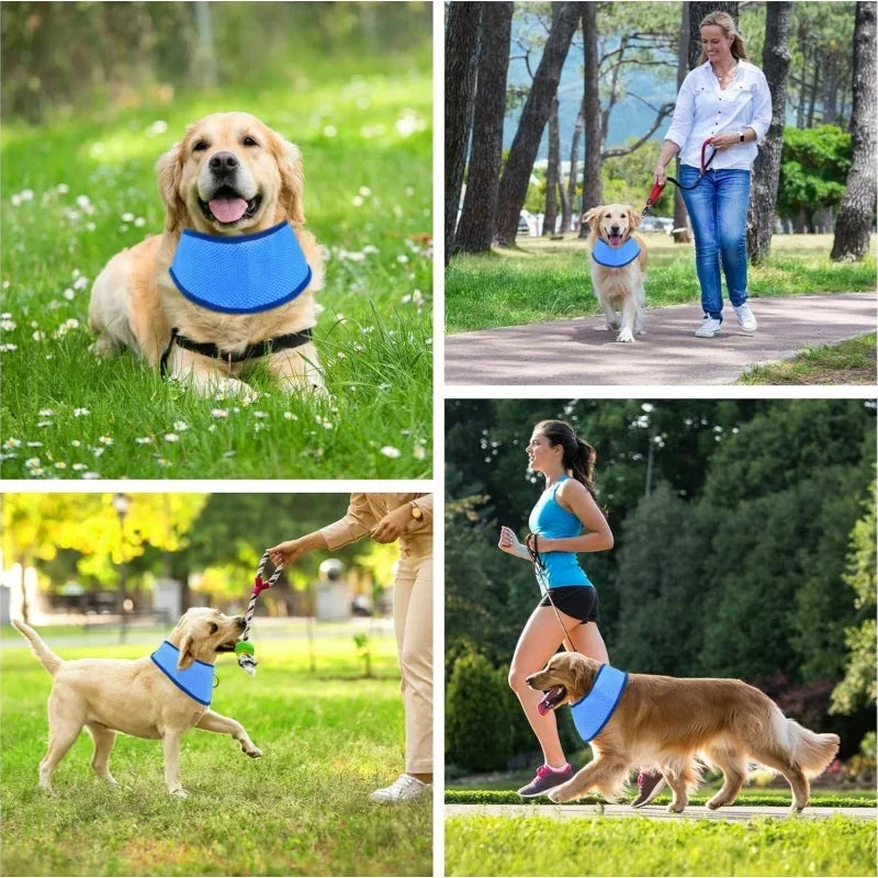 Summer Cooling Bandana for Dog Super Absorbent Ice Towel Collar Adjustable Pet Heatstroke Prevention Scarf for Walking Sleeping